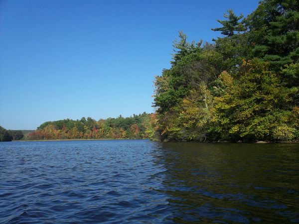 Stevens Pond Foliage photo