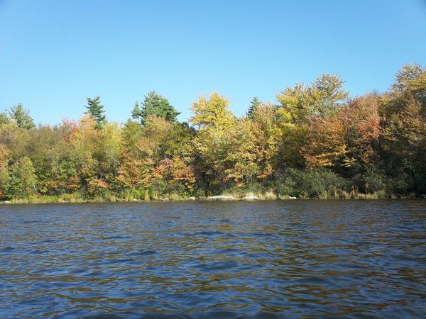 Stevens Pond Foliage photo