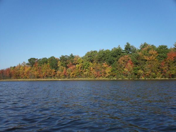 Stevens Pond Foliage photo