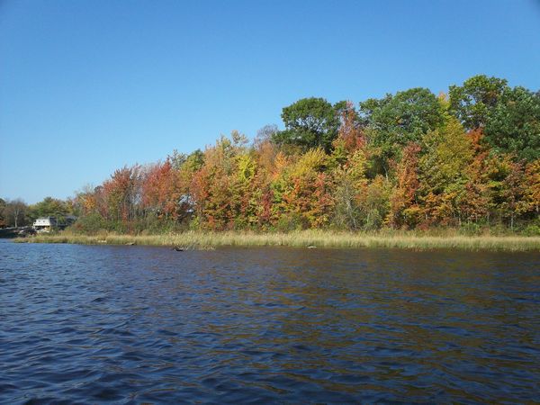 Stevens Pond Foliage photo