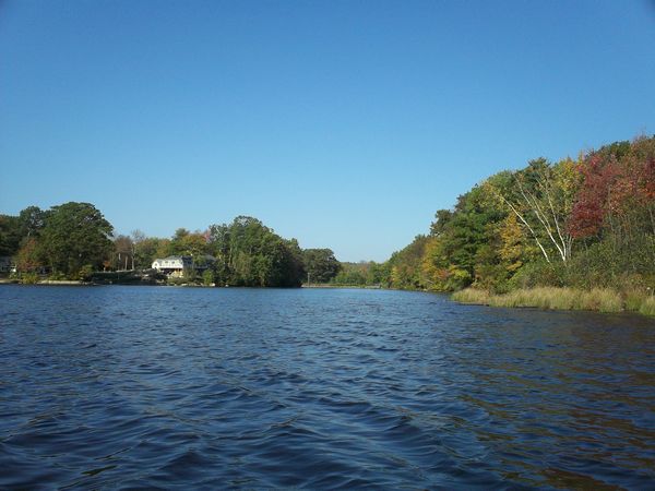 Stevens Pond Foliage photo
