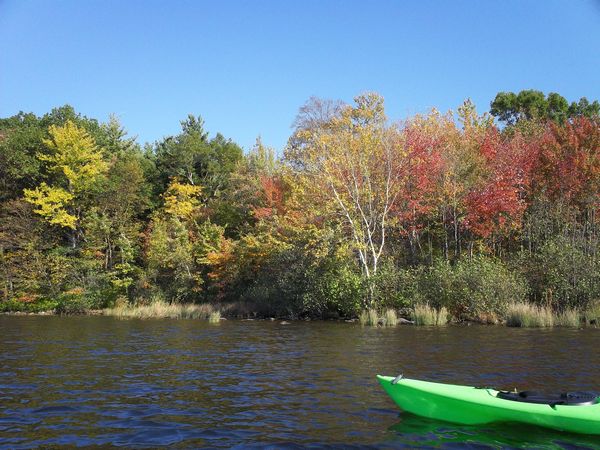 Stevens Pond Foliage photo