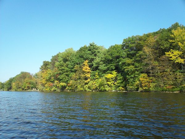 Stevens Pond Foliage photo