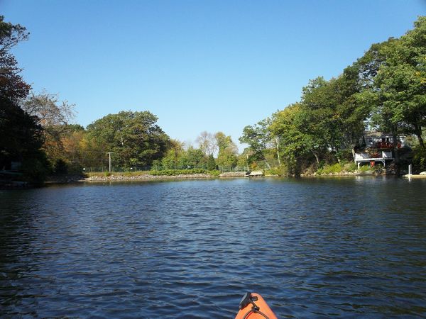 Stevens Pond Foliage photo
