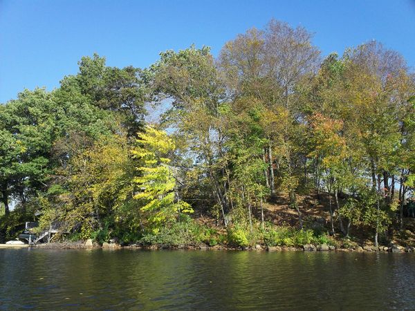 Stevens Pond Foliage photo