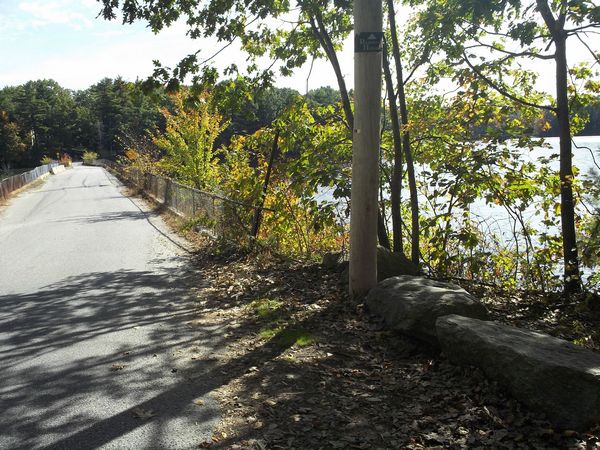 Carpenter Reservoir Foliage photo
