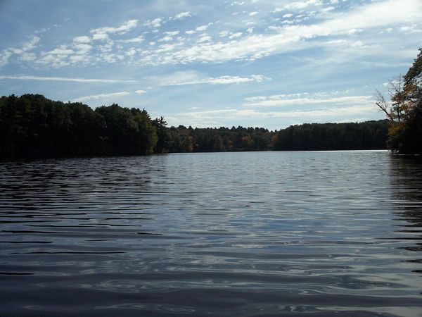 Carpenter Reservoir Foliage photo