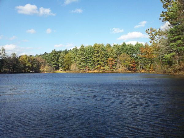Buffumville Lake Foliage photo