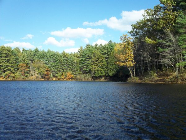 Buffumville Lake Foliage photo