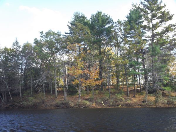 Buffumville Lake Foliage photo