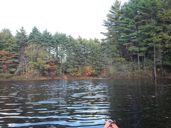 Buffumville Lake Foliage photo