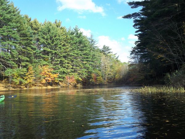 Buffumville Lake Foliage photo