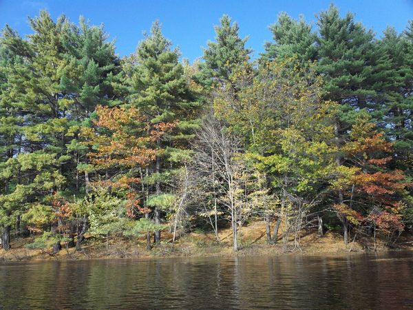 Buffumville Lake Foliage photo