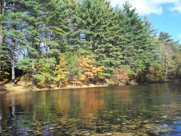 Buffumville Lake Foliage photo
