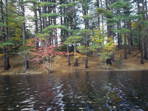Buffumville Lake Foliage photo