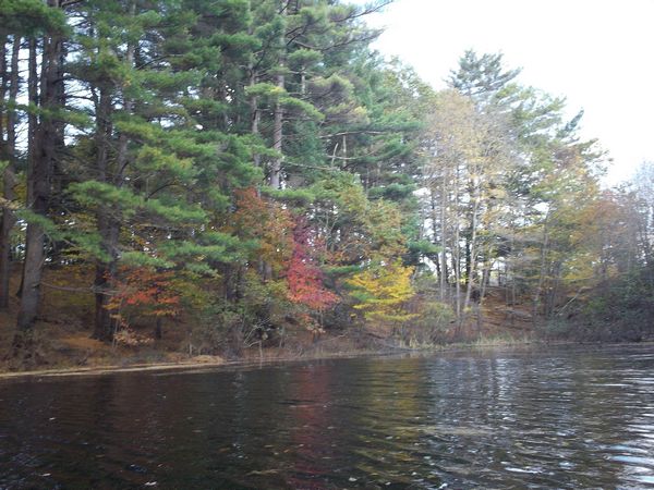 Buffumville Lake Foliage photo