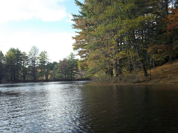 Buffumville Lake Foliage photo