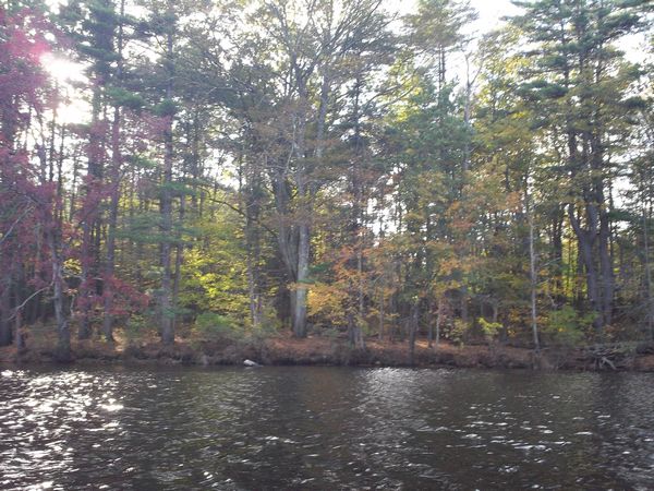 Buffumville Lake Foliage photo