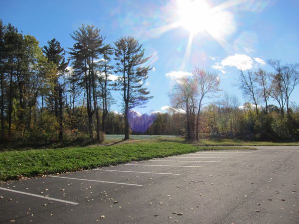 Sutton MA Foliage photo