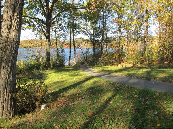 Sutton MA Foliage photo