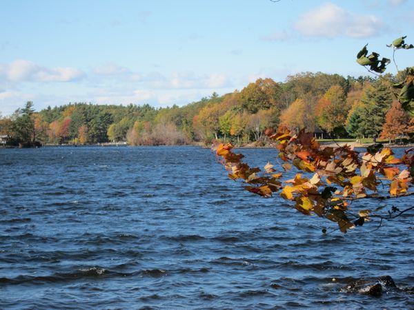 Sutton MA Foliage photo