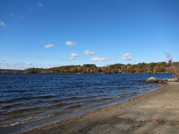 Sutton MA Foliage photo