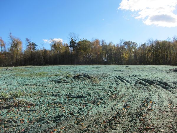 Sutton MA Foliage photo