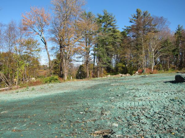 Sutton MA Foliage photo
