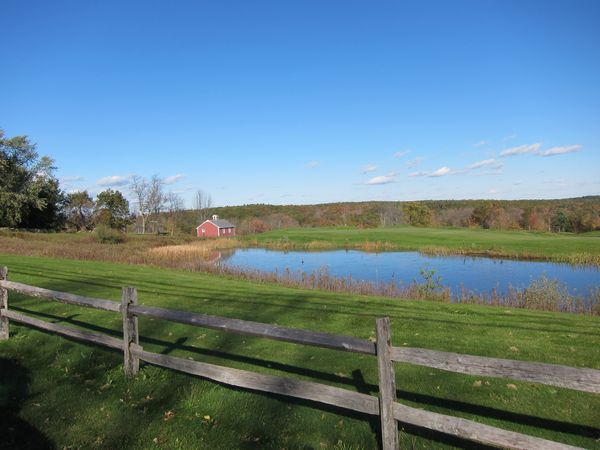 Sutton MA Foliage photo