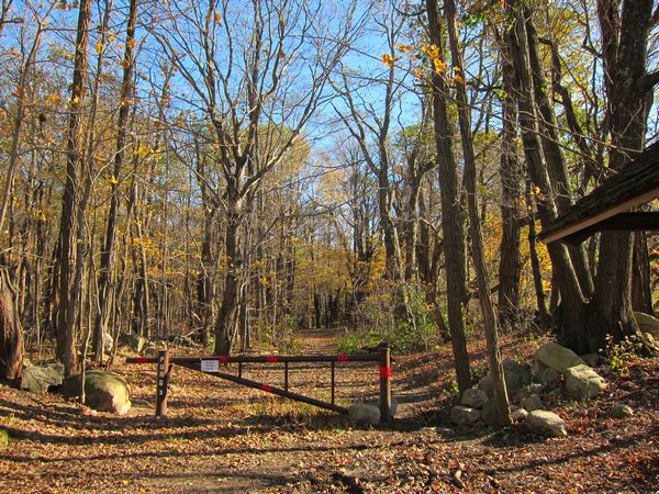Sutton MA Foliage photo