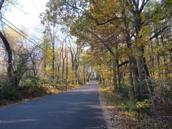 Sutton MA Foliage photo