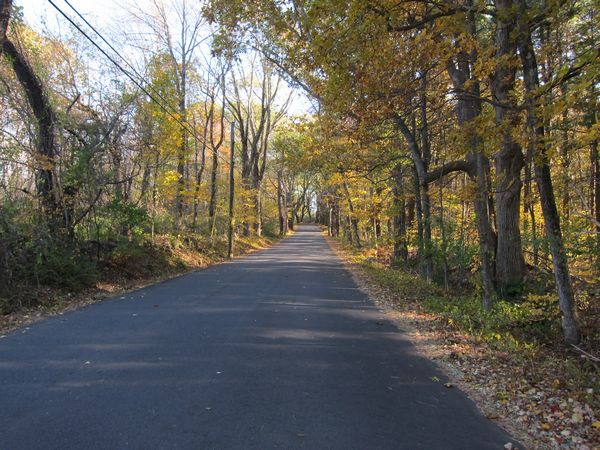 Sutton MA Foliage photo