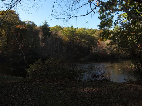 Sutton MA Foliage photo