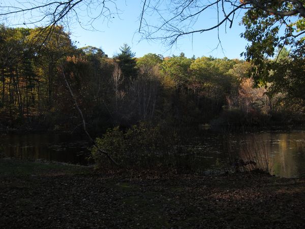 Sutton MA Foliage photo