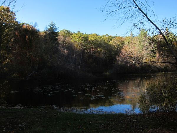 Sutton MA Foliage photo