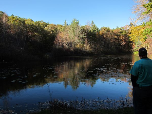 Sutton MA Foliage photo