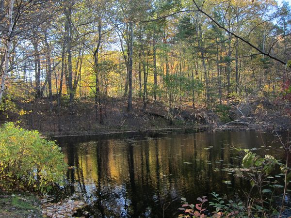 Sutton MA Foliage photo