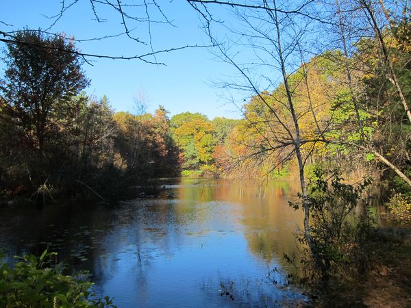 Sutton MA Foliage photo