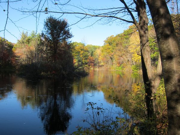 Sutton MA Foliage photo
