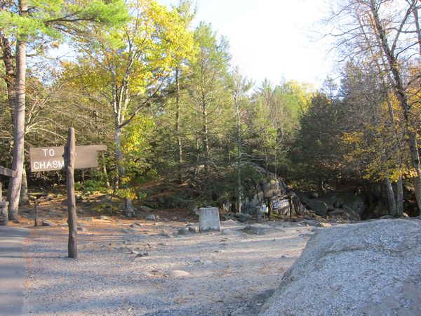 Sutton MA Foliage photo