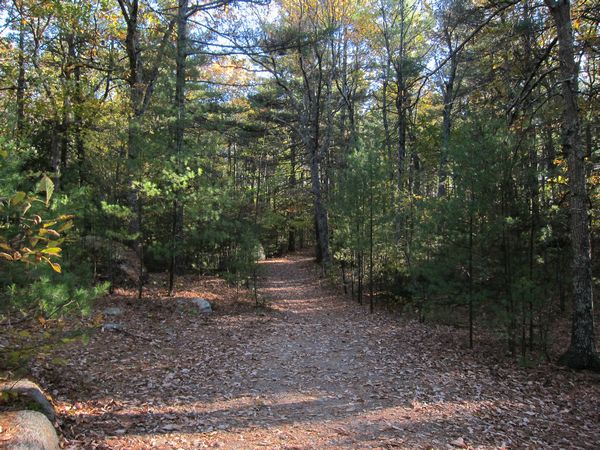 Sutton MA Foliage photo