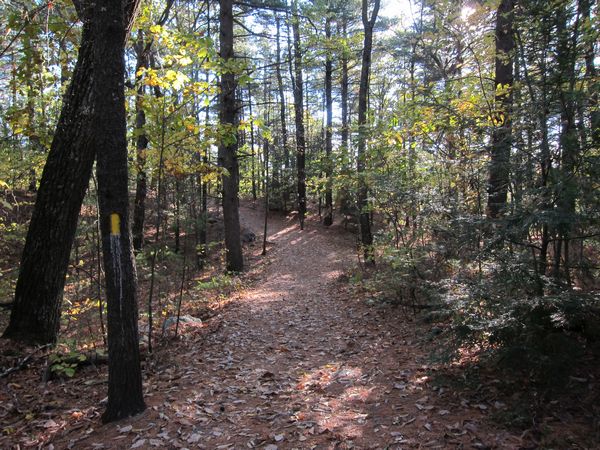 Sutton MA Foliage photo