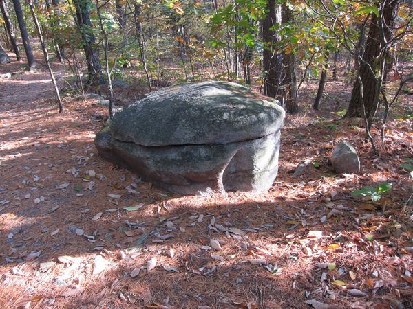 Sutton MA Foliage photo