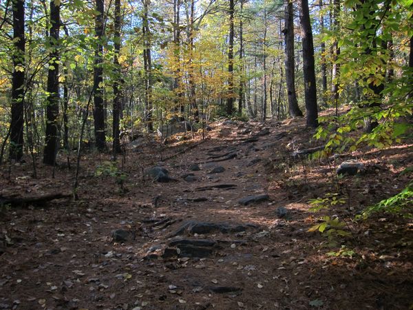 Sutton MA Foliage photo