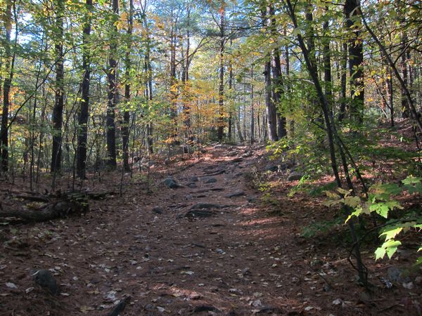 Sutton MA Foliage photo