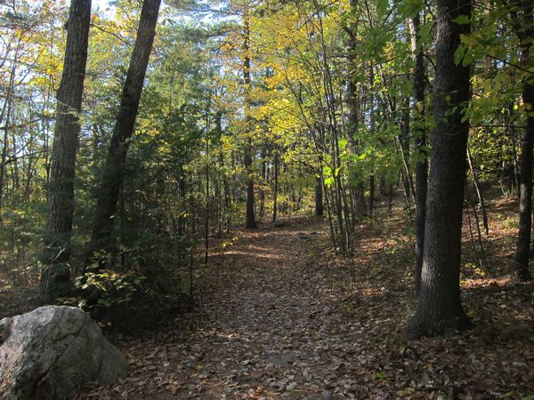 Sutton MA Foliage photo