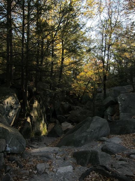Sutton MA Foliage photo