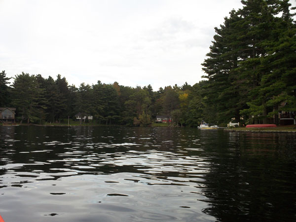 Ramshorn Pond Foliage photo