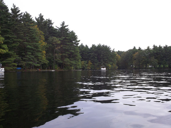 Ramshorn Pond Foliage photo