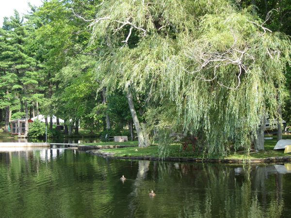 Ramshorn Pond Sutton MA photo